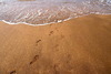 [Canon]海沙与脚印