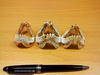 牙齿标本的另类使用方法