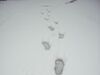 [Ricoh]自1984年来苏州最大的雪---再加相片
