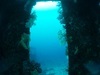 绿岛春节潜水