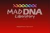 Mad-DNA Laboratory(疯狂乱搞DNA实验)