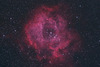 NGC2244 Rosette Nebula 玫瑰星云