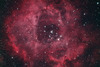 各式各样的玫瑰星云 NGC2244