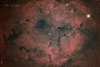 IC1396 & 象鼻星云