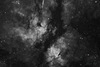IC1318 蝴蝶星云